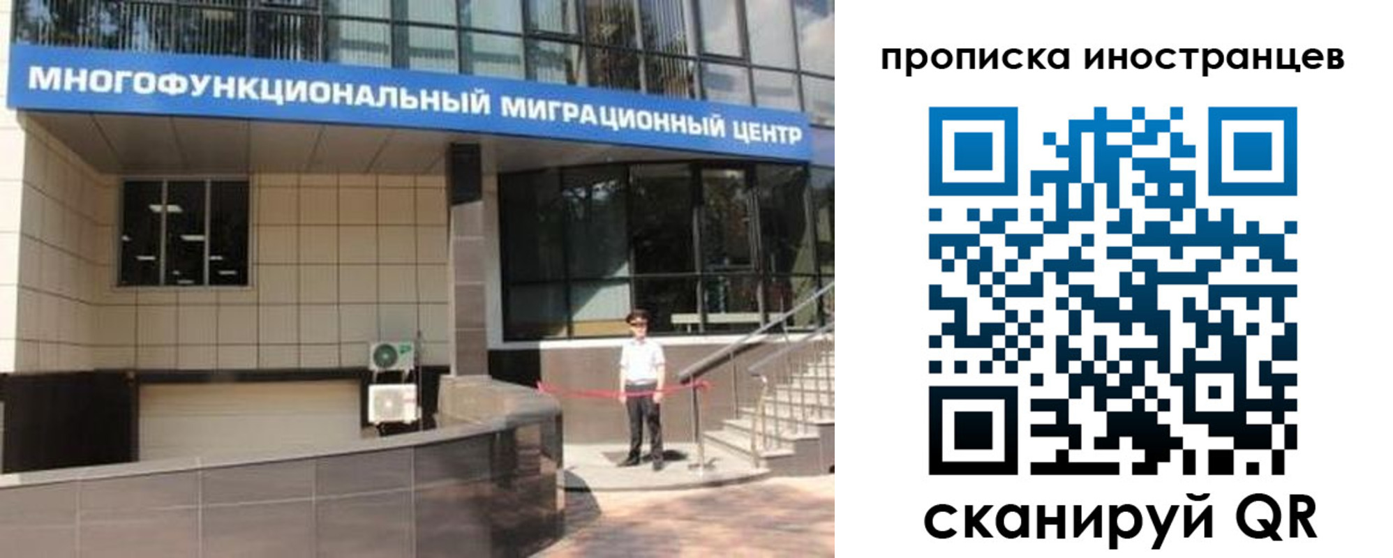прописка поиск в Тихорецке